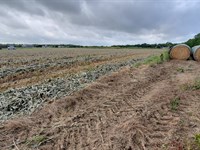 5.84 Acre Executive Homesite : Temple : Bell County : Texas