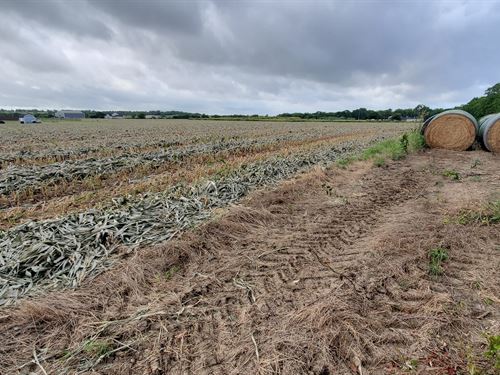 5.84 Acre Executive Homesite : Temple : Bell County : Texas