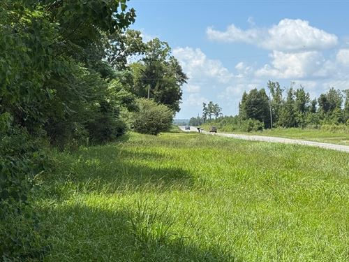 83 Acres Pandora Rd Tract : Marianna : Jackson County : Florida