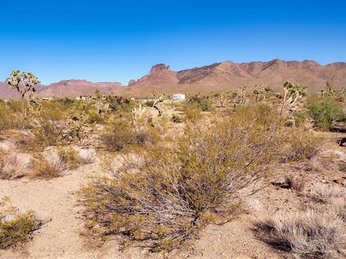 1.07 Acres with Power at Road : Dolan Springs : Mohave County : Arizona
