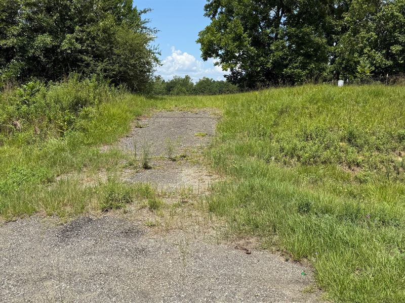 35 Acres SR 73 Tract : Marianna : Jackson County : Florida