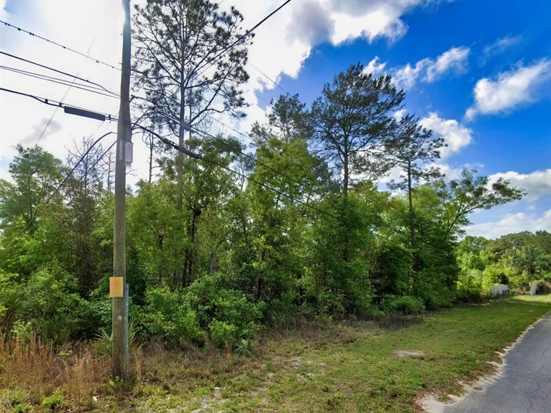 Your 0.25 Acres Dream Awaits in FL : Satsuma : Putnam County : Florida