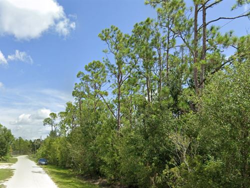 Dream Big on Your Own Land : Punta Gorda : Charlotte County : Florida