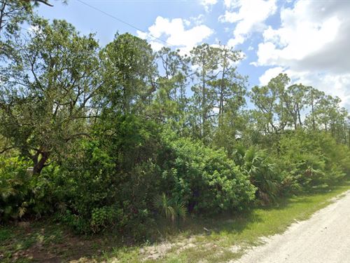 Build Bigger, Live Freer : Punta Gorda : Charlotte County : Florida