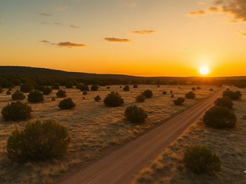 1.25 Acre in Saint Johns, $150/Mo : Saint Johns : Apache County : Arizona