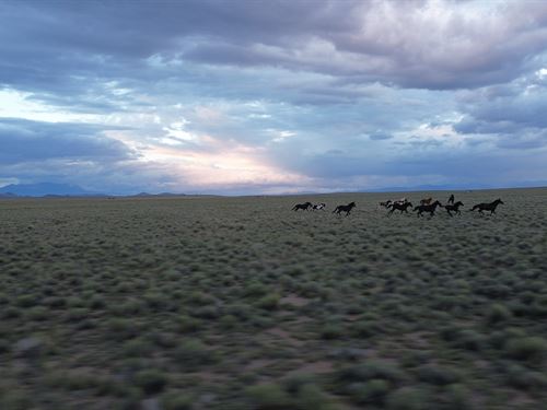 5 Acres of Leave ME Alone Land : San Luis : Costilla County : Colorado