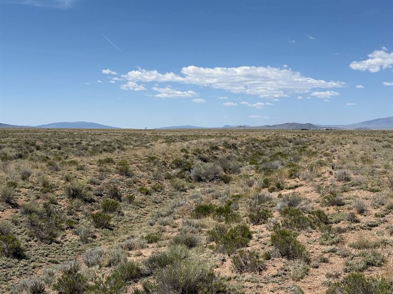 5 Acres of Scenic Colorado Beauty : San Luis : Costilla County : Colorado