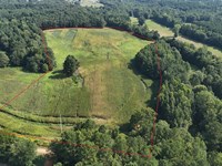 19.4 Ac. Lawrence County Homesite : Moulton : Lawrence County : Alabama