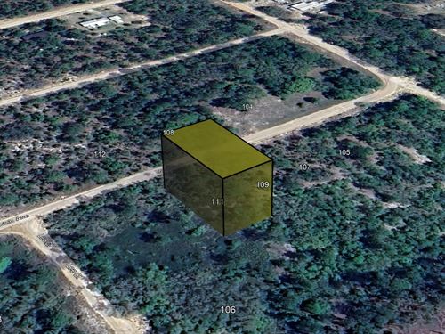 Rural Dream Lot, $199 Down : Interlachen : Putnam County : Florida