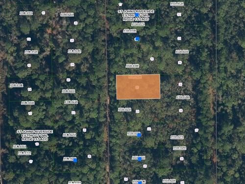 Dirt Road Treasure, $199 Down : Palatka : Putnam County : Florida