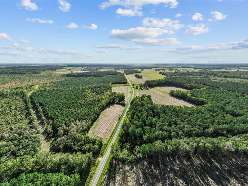 470-Ac Prime Hunting Land for Sale : Robersonville : Pitt County : North Carolina