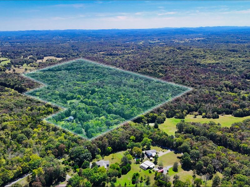 135 Acres of Forested Land in TN : Castalian Springs : Sumner County : Tennessee