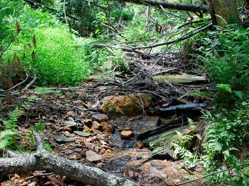 Creekfront 1.25 Ac Near Boone : West Jefferson : Ashe County : North Carolina