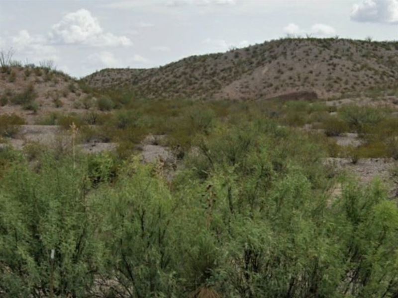 2 Acres in Presidio County, TX : Presidio : Presidio County : Texas