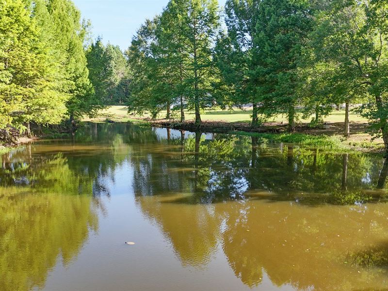 La, Caldwell 43 Acres : Grayson : Caldwell Parish : Louisiana