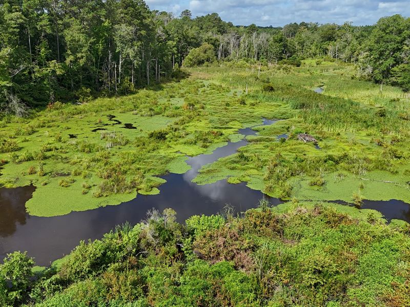 La, Jackson 138 Acres : Chatham : Jackson Parish : Louisiana