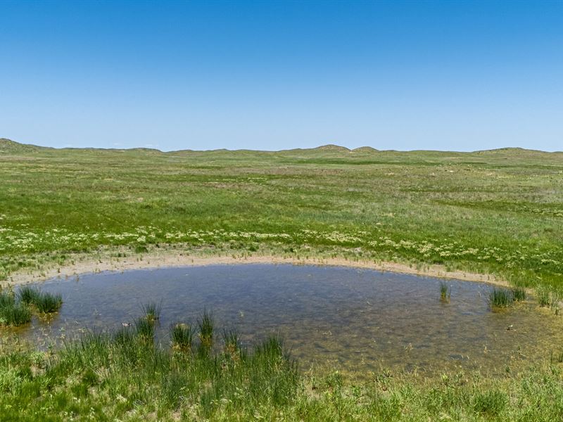 Wilson Ranch : Bonner : Morrill County : Nebraska