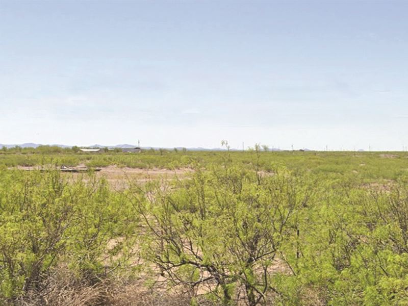 Two Adjoining Half Acre Lots : Deming : Luna County : New Mexico