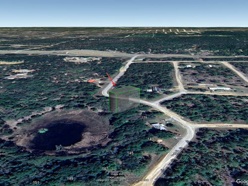 Serene Interlachen Lot 186/Mo : Interlachen : Putnam County : Florida