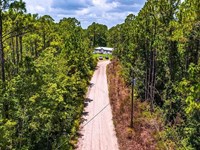 Farm Life Starts at $499 Down : Palatka : Putnam County : Florida