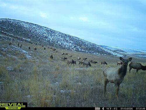 Lake Shadow Ranch : Craig : Moffat County : Colorado