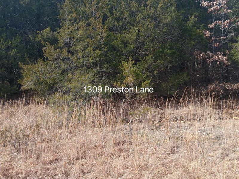 Undeveloped Lot, Private : Horseshoe Bend : Izard County : Arkansas