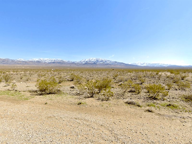 Affordable Land Near Las Vegas : Pahrump : Nye County : Nevada