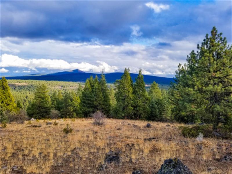 Fixer-Upper Land Deal, 17 Acres : Bonanza : Klamath County : Oregon