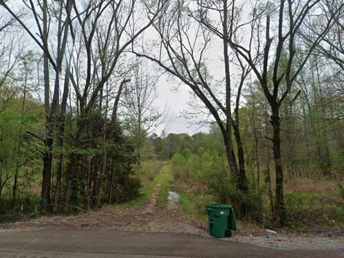 Mississippi Minifarm Lot : Utica : Hinds County : Mississippi