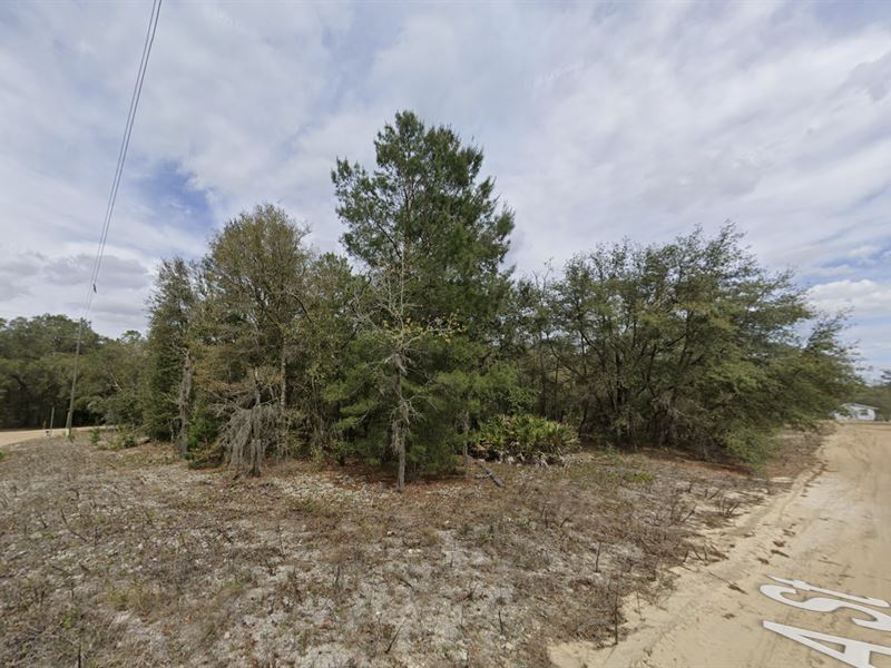 Tree-Lined Privacy for $205/Mo : Interlachen : Putnam County : Florida