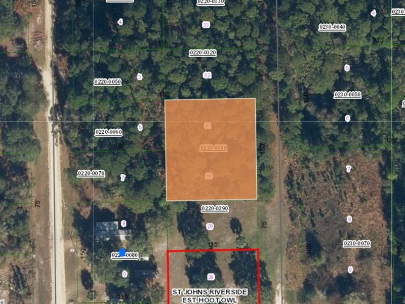 Satsuma Special, Land for $199 Down : Satsuma : Putnam County : Florida