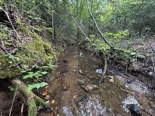 Gilbert Road Tract 1 : Talbotton : Talbot County : Georgia