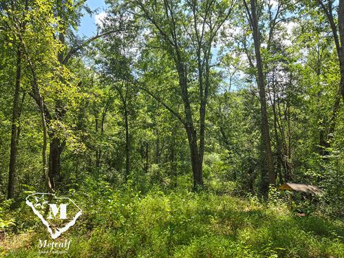 23 Acres on Big Ferguson Creek : Woodruff : Spartanburg County : South Carolina