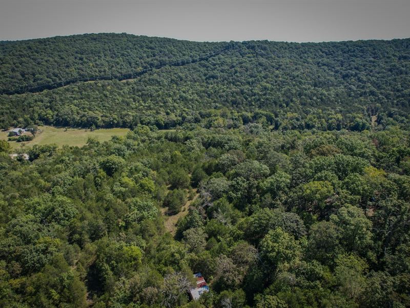 6 Wooded Acres Near Garfield, AR : Garfield : Benton County : Arkansas