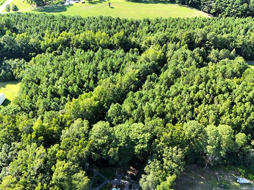 Wooded Lot in Horry County, SC : Little River : Horry County : South Carolina