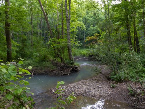 $999 Down with Stream : Mount Vernon : Rockcastle County : Kentucky