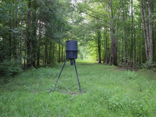 La, Caldwell 100 Acres : Grayson : Caldwell Parish : Louisiana