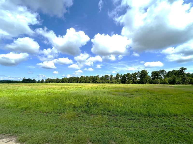 Waddell Kennels & Farm : Sparta : Hancock County : Georgia