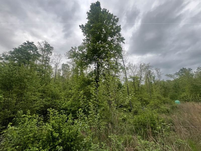 3.01 Acre Property for Sale : Annapolis : Iron County : Missouri