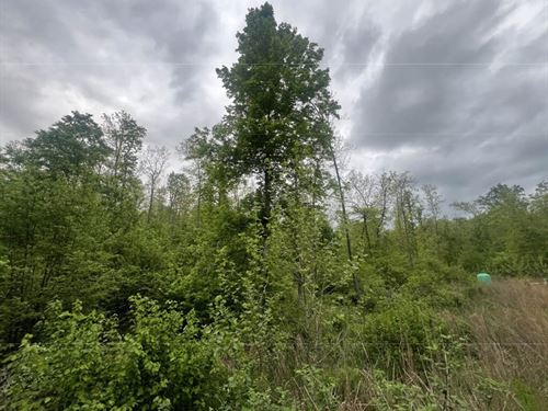 3.01 Acre Property For Sale : Annapolis : Iron County : Missouri