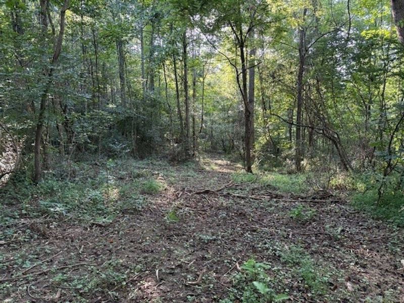 6.14 Acres Unrestricted Property : Palmer : Grundy County : Tennessee