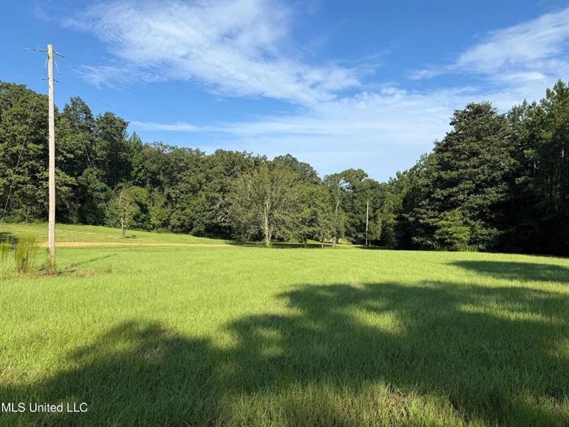 40 Acres with Country Home for Sal : McComb : Pike County : Mississippi