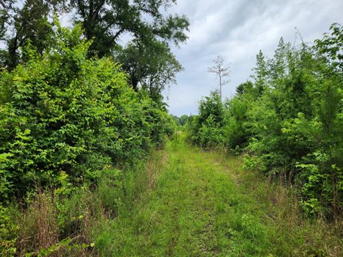 Old Grimmett Road 400 : Tuskegee : Macon County : Alabama