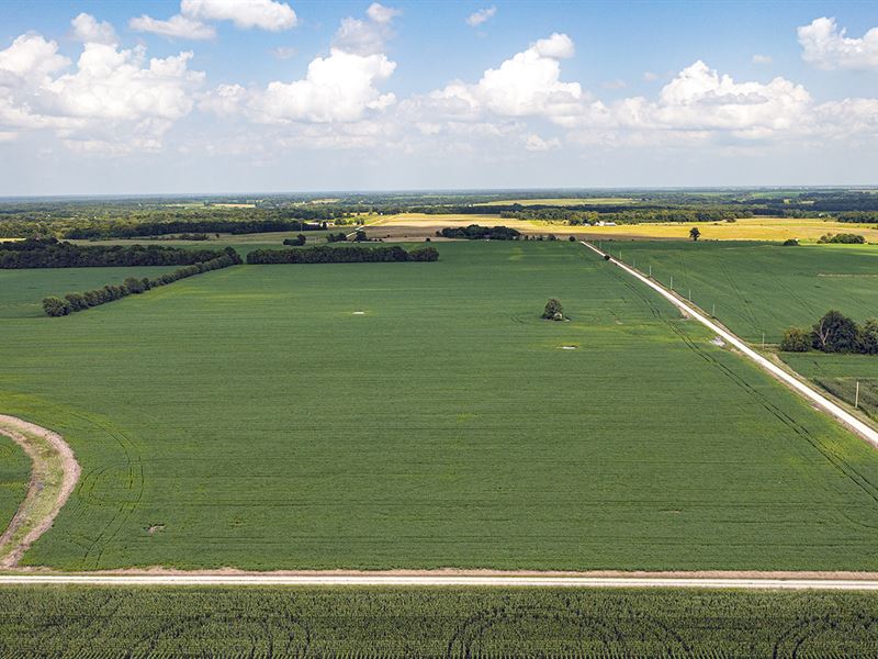 Land Auction, Audrian-Monroe Co. MO : Madison : Audrain County : Missouri