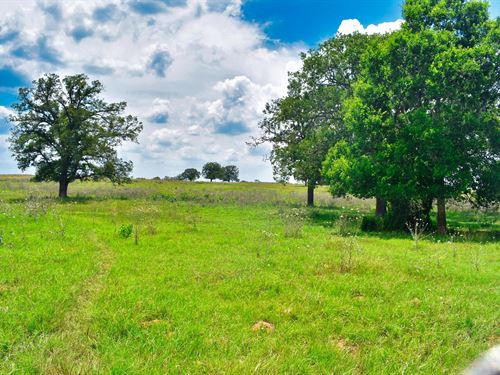 4+ Acres in Caldwell County, TX : Luling : Caldwell County : Texas