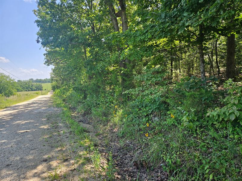 Southern Missouri Land for Sale : Mountain View : Texas County : Missouri