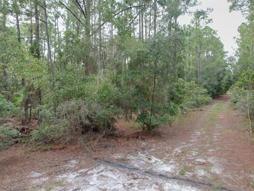 Home Sweet Home : Georgetown : Putnam County : Florida