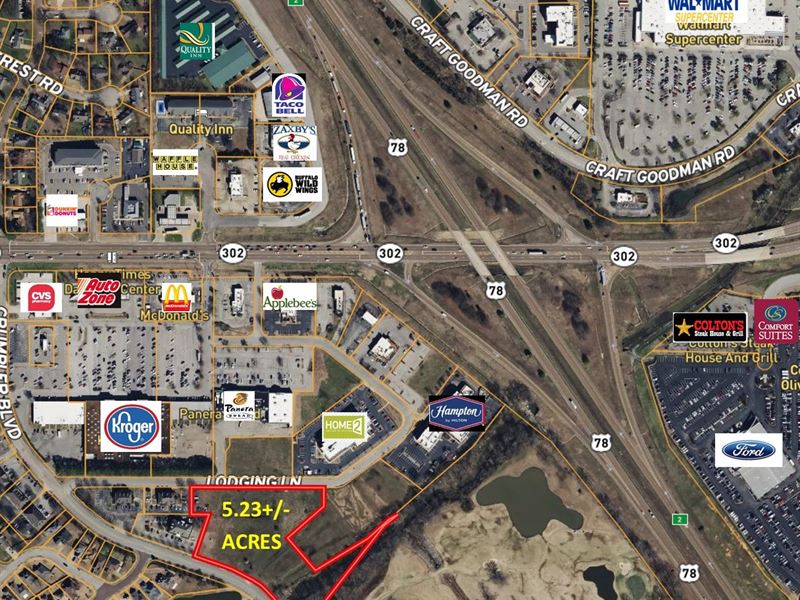 Commercial Development Land : Olive Branch : DeSoto County : Mississippi