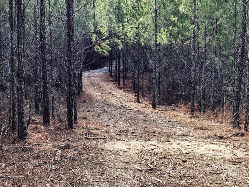 Country Homesite : Gordon : Baldwin County : Georgia