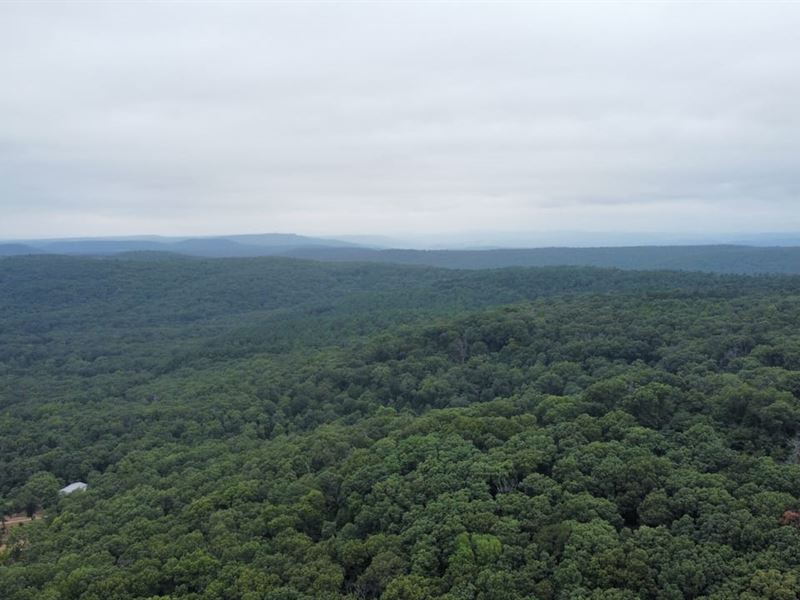 Happy Hollow 10 : Chester : Crawford County : Arkansas